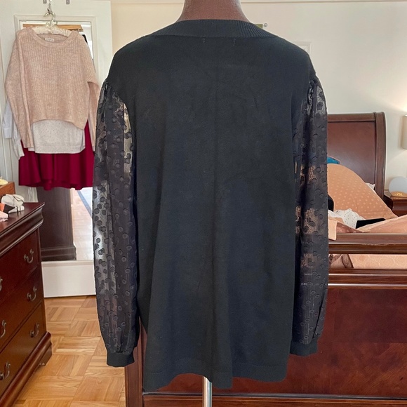 🛍️FREE w/$15☀️ 89th + Madison Sweater with Sheer Swiss Dot Sleeves - Picture 3 of 7